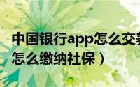 中国银行app怎么交养老保险（中国银行APP怎么缴纳社保）