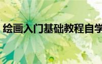 绘画入门基础教程自学（绘画入门基础教程）
