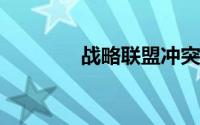 战略联盟冲突中间蓝图战略