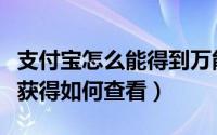 支付宝怎么能得到万能福（支付宝万能福怎么获得如何查看）