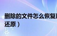 删除的文件怎么恢复原版本（删除的文件怎么还原）