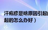 汗疱疹是啥原因引起的（汗疱疹是什么原因引起的怎么办好）