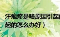 汗疱疹是啥原因引起的（汗疱疹是什么原因引起的怎么办好）