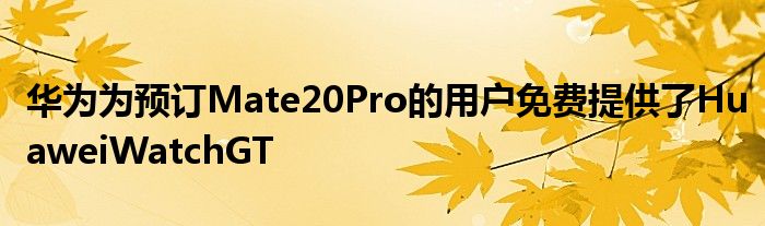 华为为预订Mate20Pro的用户免费提供了HuaweiWatchGT