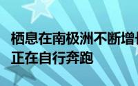 栖息在南极洲不断增长的冰峡谷上的幽灵基地正在自行奔跑