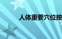 人体重要穴位按摩穴位保持健康