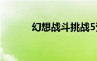 幻想战斗挑战5受害者通关攻略