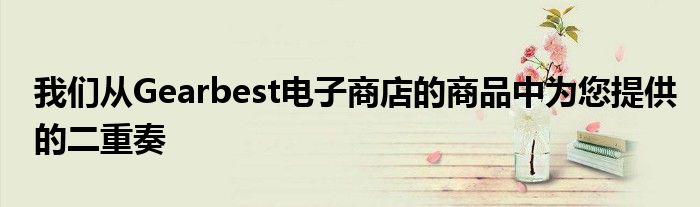 我们从Gearbest电子商店的商品中为您提供的二重奏