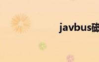 javbus磁力的使用