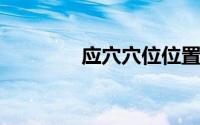 应穴穴位位置图及穴位功能