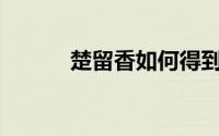 楚留香如何得到一辆金色宝马？