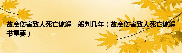 故意伤害致人死亡谅解一般判几年（故意伤害致人死亡谅解书重要）