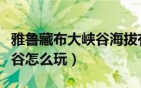 雅鲁藏布大峡谷海拔有多少米（雅鲁藏布大峡谷怎么玩）