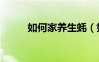 如何家养生蚝（如何家养小壁虎）
