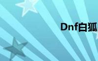 Dnf白狐战斗攻略