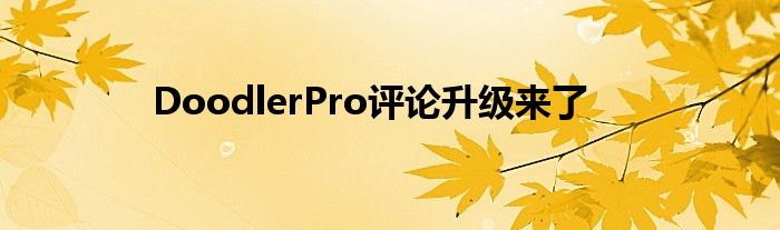DoodlerPro评论升级来了