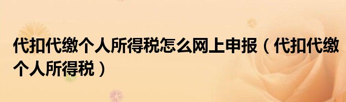 代扣代缴个人所得税怎么网上申报（代扣代缴个人所得税）