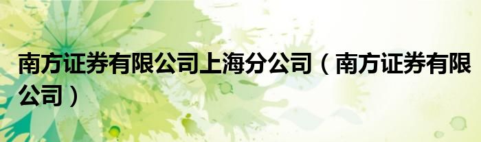 南方证券有限公司上海分公司（南方证券有限公司）