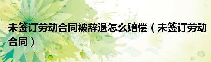 未签订劳动合同被辞退怎么赔偿（未签订劳动合同）