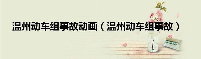 温州动车组事故动画（温州动车组事故）