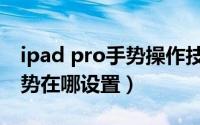 ipad pro手势操作技巧（iPad Pro多任务手势在哪设置）