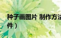 种子画图片 制作方法（怎么制作图片种子文件）