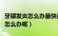 牙龈发炎怎么办最快最有效的方法（牙龈发炎怎么办呢）