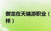 御龙在天端游职业（御龙在天[1]新职业怎么样）