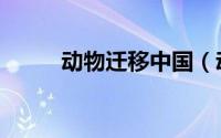 动物迁移中国（动物迁移怎么画）