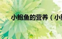 小鲍鱼的营养（小鲍鱼的营养与功效）