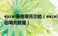 excel表格填充功能（excel表格高级应用技巧向单元格中自动填充数据）