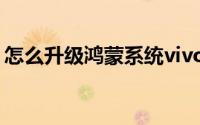 怎么升级鸿蒙系统vivo（怎么升级鸿蒙系统）