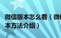 微信版本怎么看（微信版本升级更新至最新版本方法介绍）