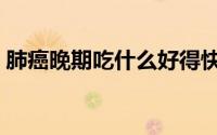 肺癌晚期吃什么好得快（肺癌晚期吃什么好）