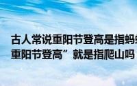 古人常说重阳节登高是指蚂蚁森林（蚂蚁庄园古人常说的“重阳节登高”就是指爬山吗）