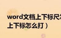 word文档上下标尺怎么调不了（word文档上下标怎么打）