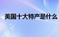 美国十大特产是什么（美国十大特色文化）