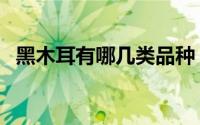 黑木耳有哪几类品种（黑木耳有哪些吃法）