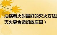 油锅着火时最好的灭火方法是什么（油锅着火时用什么方法灭火更合适蚂蚁庄园）