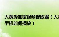 大黄蜂加密视频提取器（大黄蜂视频加密软件加密视频苹果手机如何播放）