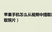 苹果手机怎么从视频中提取声音（苹果手机怎么从视频中提取照片）