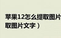 苹果12怎么提取图片文字（iphone12怎么提取图片文字）