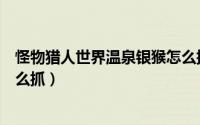 怪物猎人世界温泉银猴怎么捕捉（怪物猎人世界温泉银猴怎么抓）