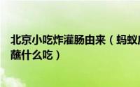 北京小吃炸灌肠由来（蚂蚁庄园老北京小吃“炸灌肠”通常蘸什么吃）