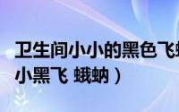 卫生间小小的黑色飞蛾（如何消灭里卫生间的小黑飞 蛾蚋）