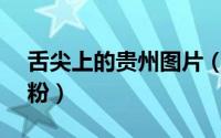 舌尖上的贵州图片（舌尖上的贵州——牛肉粉）