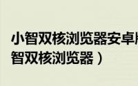 小智双核浏览器安卓版下载（怎么下载安装小智双核浏览器）