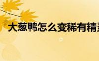 大葱鸭怎么变稀有精灵（大葱鸭怎么进化）