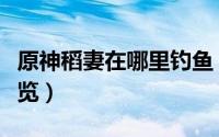 原神稻妻在哪里钓鱼（原神稻妻钓鱼点位置一览）