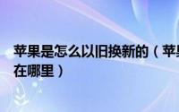 苹果是怎么以旧换新的（苹果以旧换新怎么换苹果以旧换新在哪里）